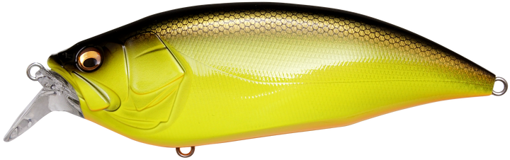 MEGABASS　RETGRAPHFⅢ　１０L　LIMITED Megabass Collection – Scottsboro Tackle Co.