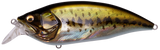 Megabass Big-M 2.0 Crankbait