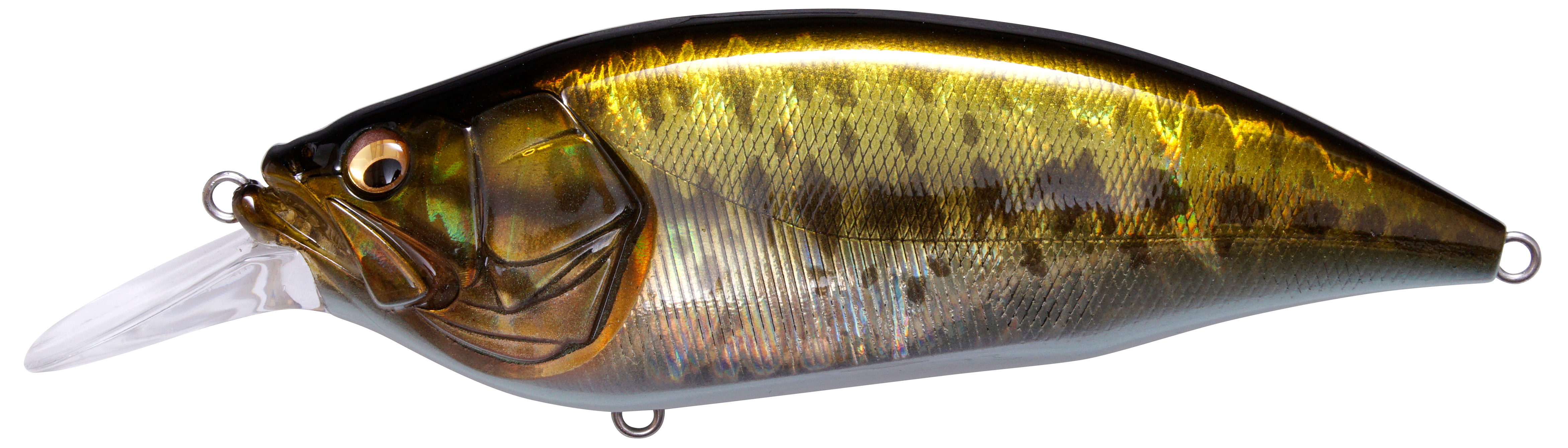 bass lures bcf Megabass Big-M 4.0 Crankbait – Scottsboro Tackle Co