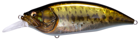 Megabass Big-M 4.0 Crankbait