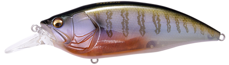 Megabass Big-M 4.0 Crankbait