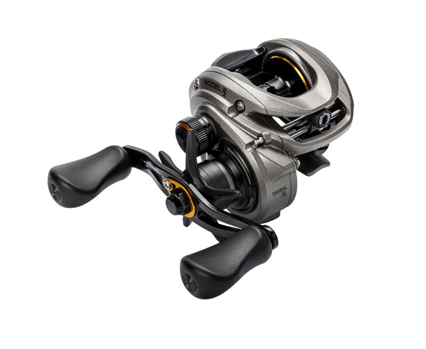 lews vs shimano casting reels Lew's Accel RX Baitcast Reel - Right
