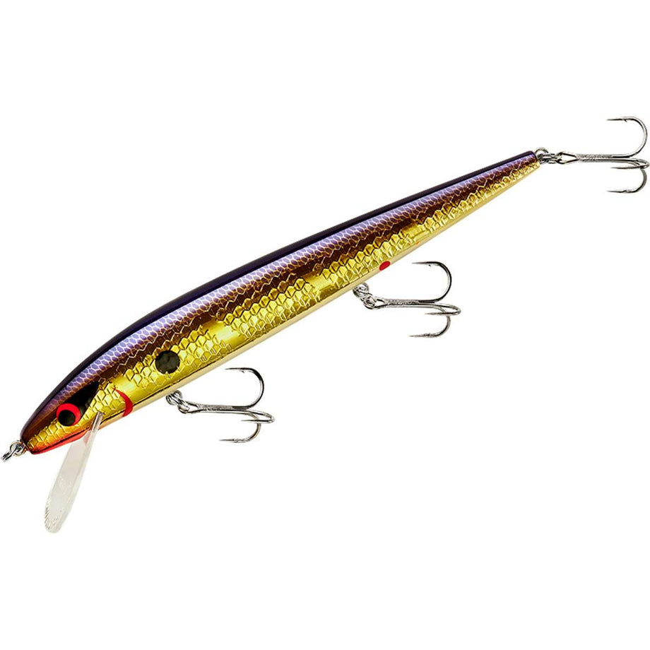 Smithwick Perfect 10 Rogue Jerkbait – Scottsboro Tackle Co.