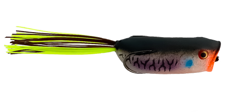 Toad Thumper Lures Frogs