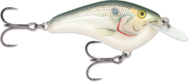 6) Rapala SR-7 Shad Rap Fishing Lure - Different Colors - w/ Tackle Box -  NEW