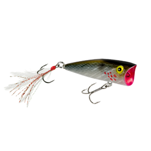 Rebel Pop-R P71 – Scottsboro Tackle Co. Rebel Pop-R P71 – Scottsboro Tackle Co.